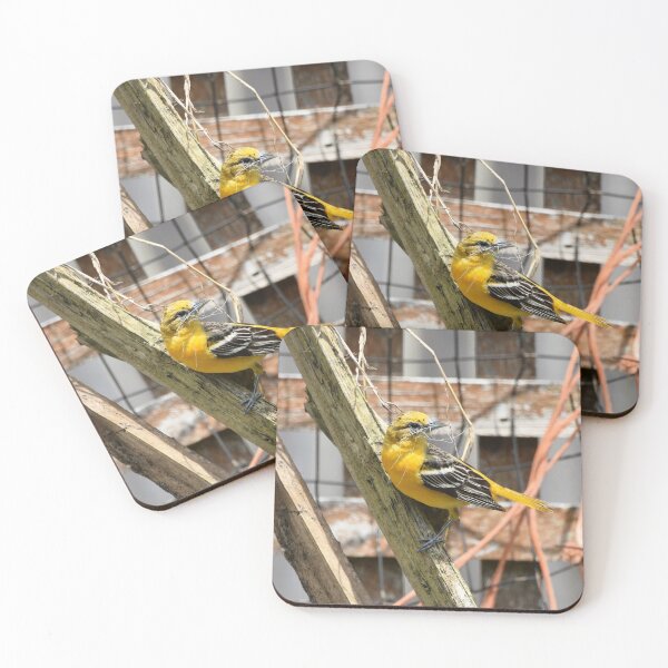 Item preview, Oriole (Icterus galbula) designed and sold by DonnaM.