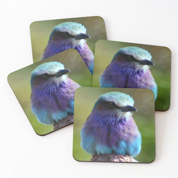 Item preview, Pretty Little Bird too (Lilac Fronted Roller) designed and sold by Yampimon.