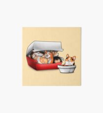 Corgi Nuggets Galeriedruck