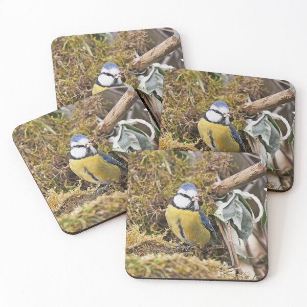 Item preview, Birds  b 9 (c)(t) by Olao-Olavia / Okaio Créations  by fz 1000 20.02.2015 designed and sold by o.okaïo.