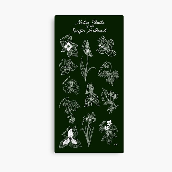 Item preview, Native Plants of the Pacific Northwest  designed and sold by Fernheart Designs.