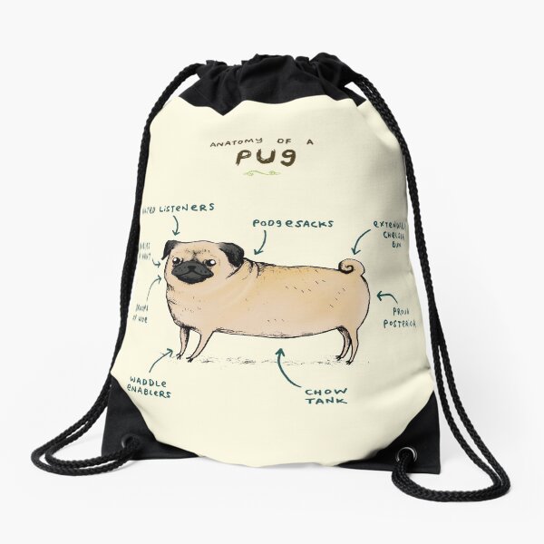 Anatomy of a Pug Drawstring Bag