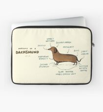 Anatomy of a Dachshund Laptop Sleeve