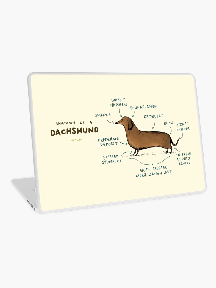 Thumbnail 1 of 2, Laptop Skin, Anatomy of a Dachshund designed and sold by Sophie Corrigan.