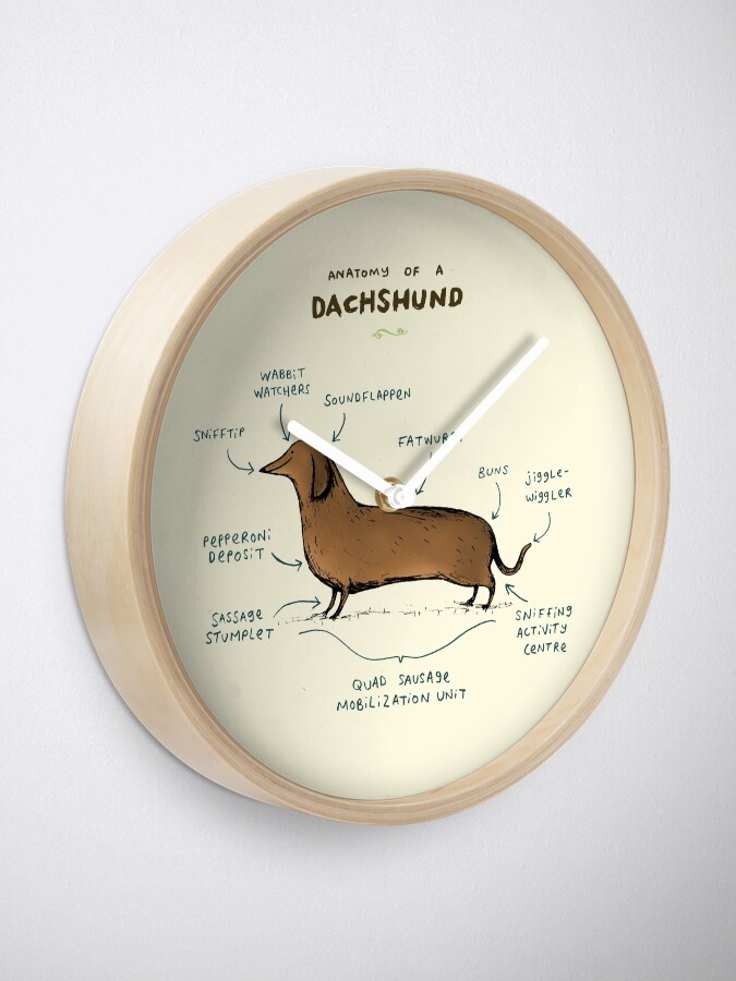 Alternate view of Anatomy of a Dachshund Clock
