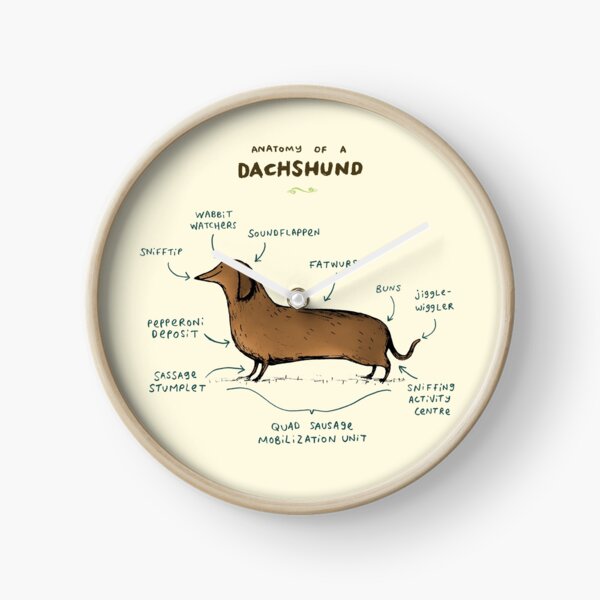 Anatomy of a Dachshund Clock