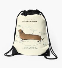 Anatomy of a Dachshund Drawstring Bag