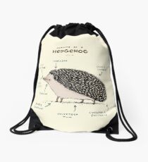 Anatomy of a Hedgehog Drawstring Bag