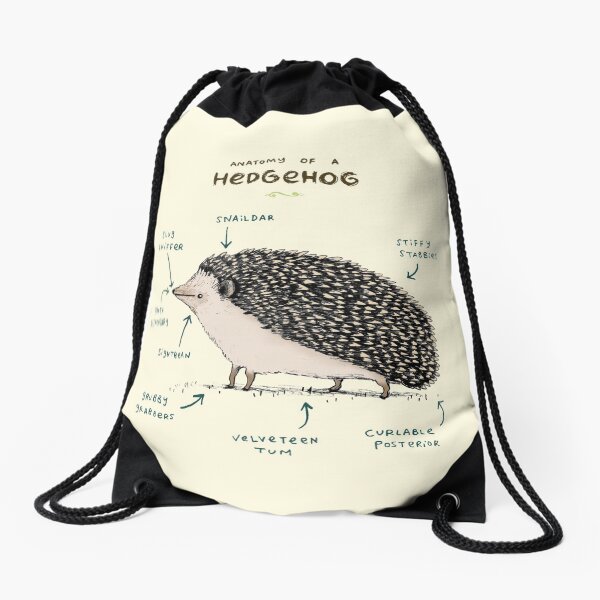 Anatomy of a Hedgehog Drawstring Bag