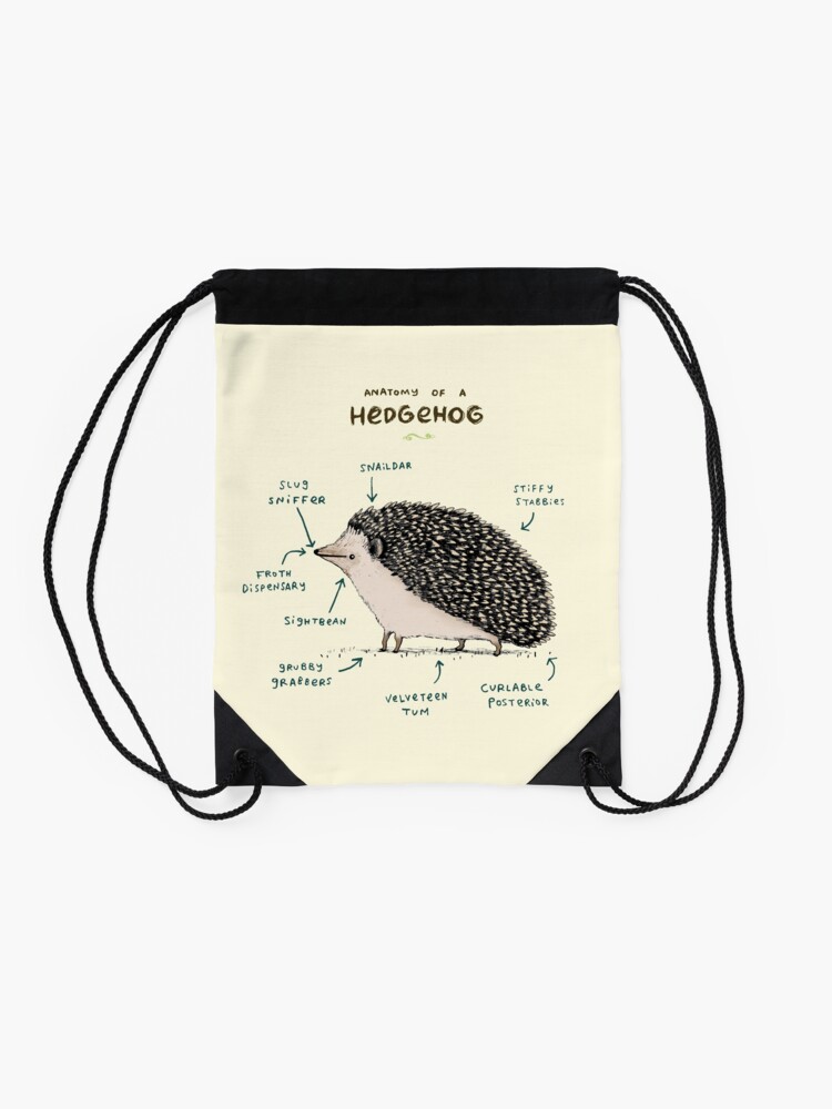 Alternate view of Anatomy of a Hedgehog Drawstring Bag