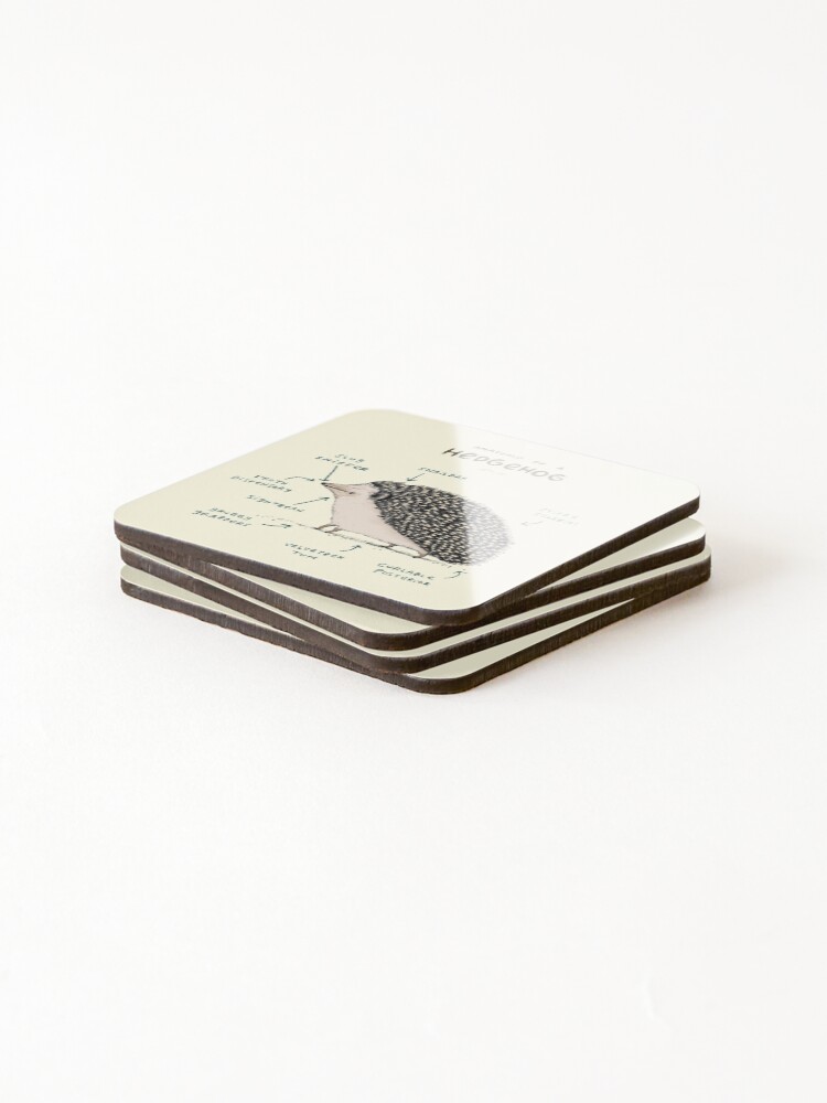 Alternate view of Anatomy of a Hedgehog Coasters (Set of 4)