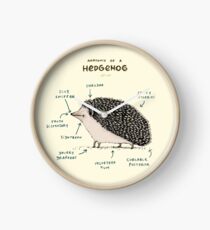 Anatomy of a Hedgehog Clock