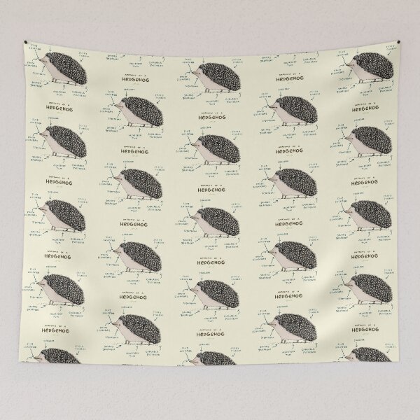 Item preview, Anatomy of a Hedgehog designed and sold by SophieCorrigan.