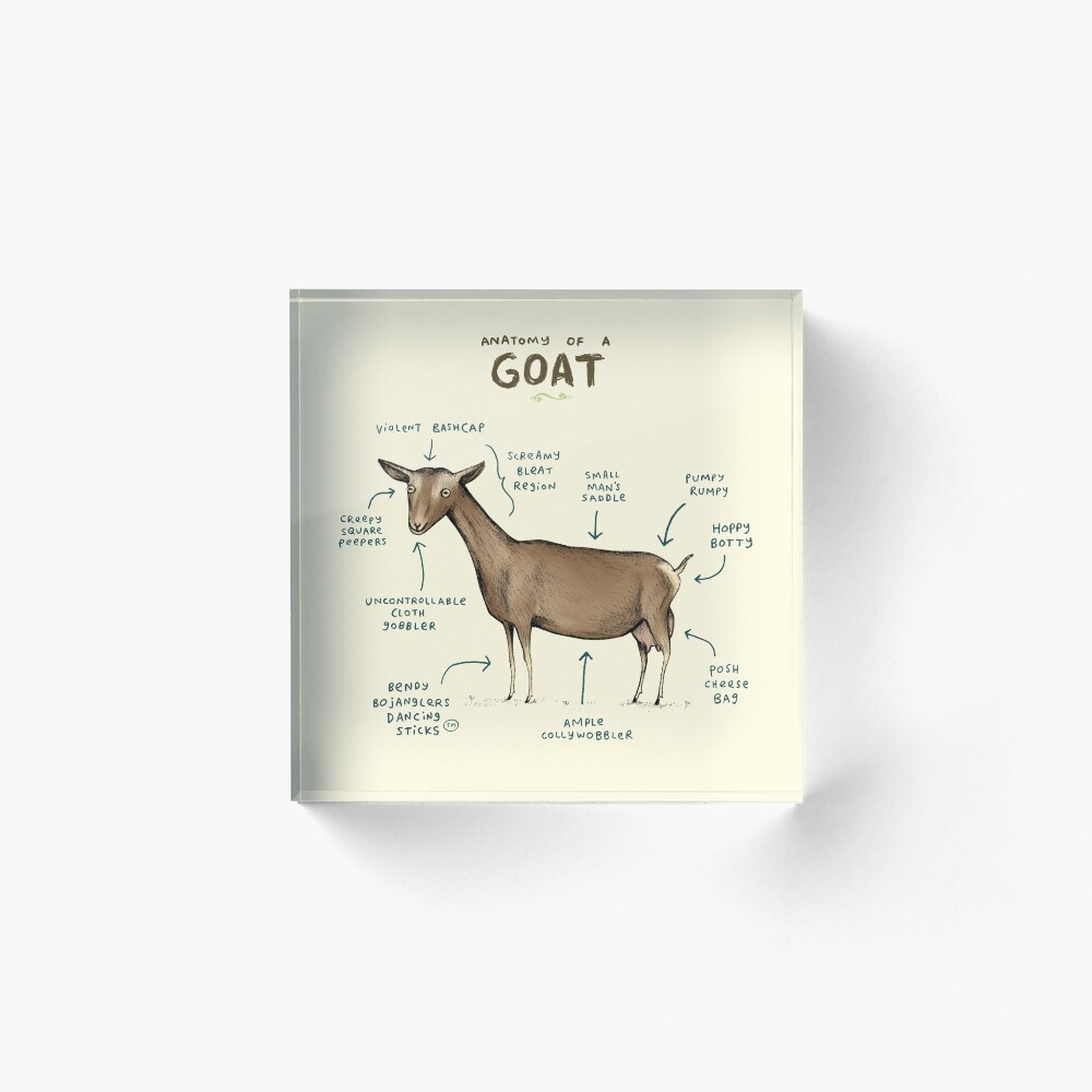 Anatomy of a Goat Acrylic Block