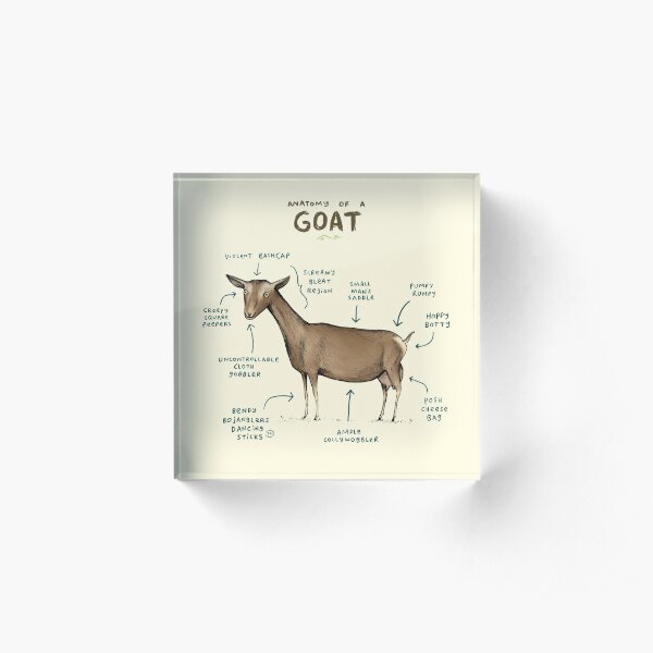 Anatomy of a Goat Acrylic Block