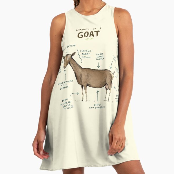 goat green dress IH Goat Girls Aline Dress — Air Waves Wholesale main image 1