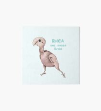Rhea the Naked Birdie Art Board