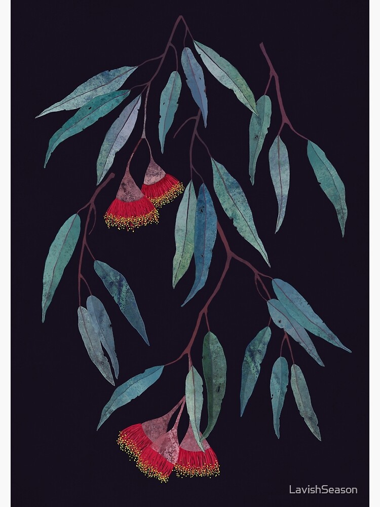 Eucalyptus leaves and flowers on dark by LavishSeason