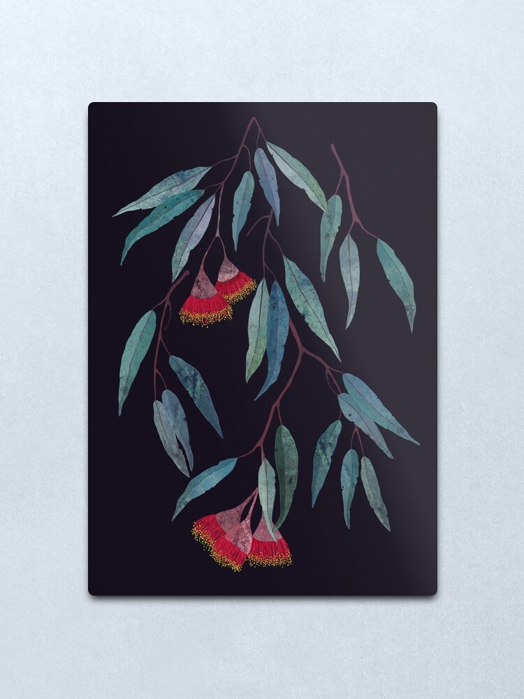 Alternate view of Eucalyptus leaves and flowers on dark Metal Print
