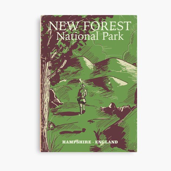 New Forest, Hampshire, England national park Canvas Print