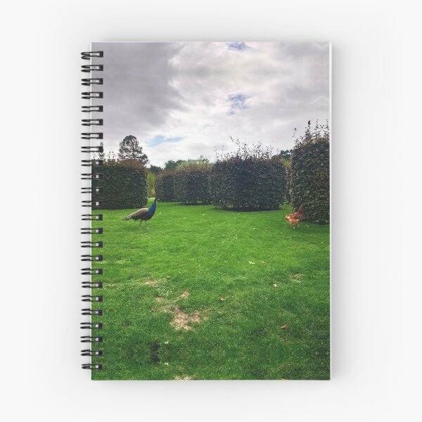 Item preview, #160 |☼| Chicken Peafowl Chase - Shot 2 (Elsham Hall, Gardens & Country Park) designed and sold by Naean H.F. (Nez Man).