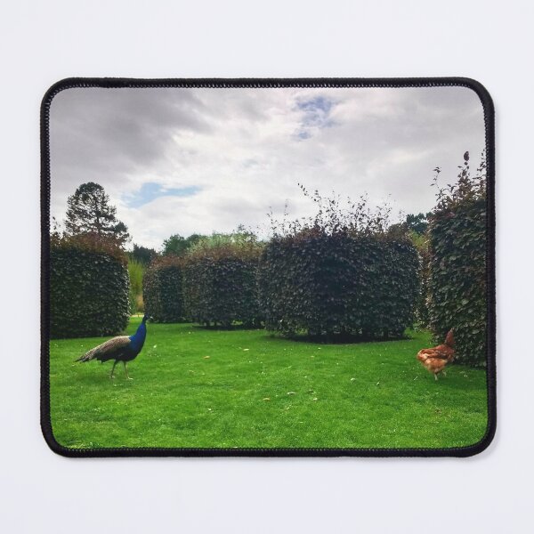 Item preview, #160 |☼| Chicken Peafowl Chase - Shot 2 (Elsham Hall, Gardens & Country Park) designed and sold by Naean H.F. (Nez Man).