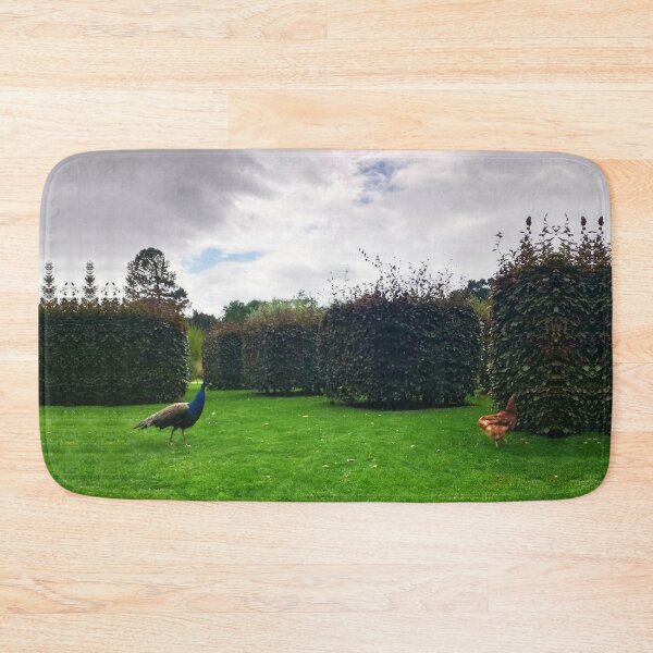 Item preview, #160 |☼| Chicken Peafowl Chase - Shot 2 (Elsham Hall, Gardens & Country Park) designed and sold by Naean H.F. (Nez Man).
