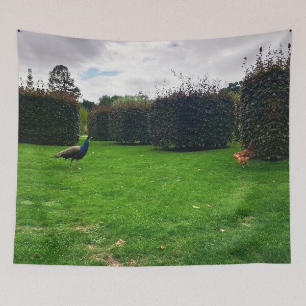 Item preview, #160 |☼| Chicken Peafowl Chase - Shot 2 (Elsham Hall, Gardens & Country Park) designed and sold by Naean H.F. (Nez Man).