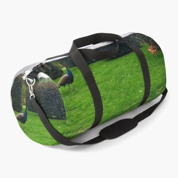Item preview, #160 |☼| Chicken Peafowl Chase - Shot 2 (Elsham Hall, Gardens & Country Park) designed and sold by Naean H.F. (Nez Man).