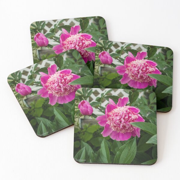 Item preview, Rosie Day designed and sold by Carly-Chapman.