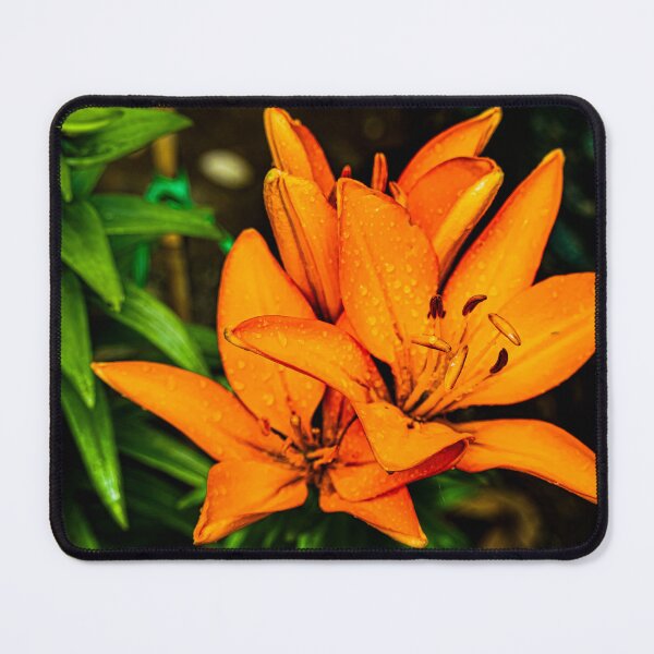 Item preview, ASIATIC LILLY designed and sold by shadowlea.