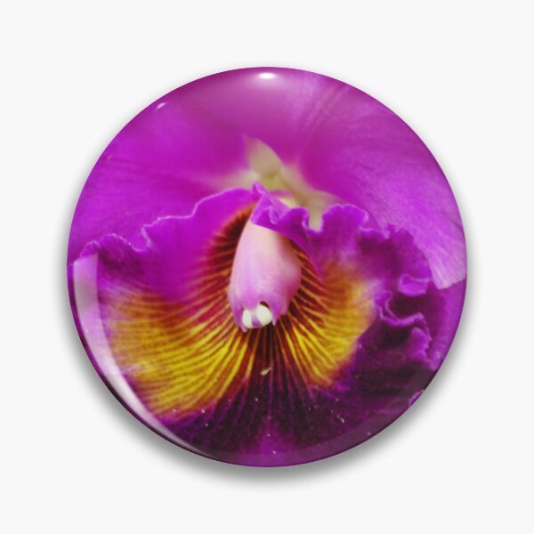 Item preview, The beauty designed and sold by treborbob.