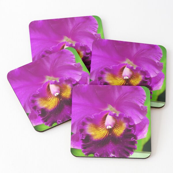 Item preview, The beauty designed and sold by treborbob.
