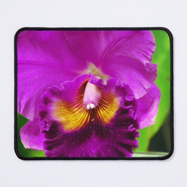 Item preview, The beauty designed and sold by treborbob.