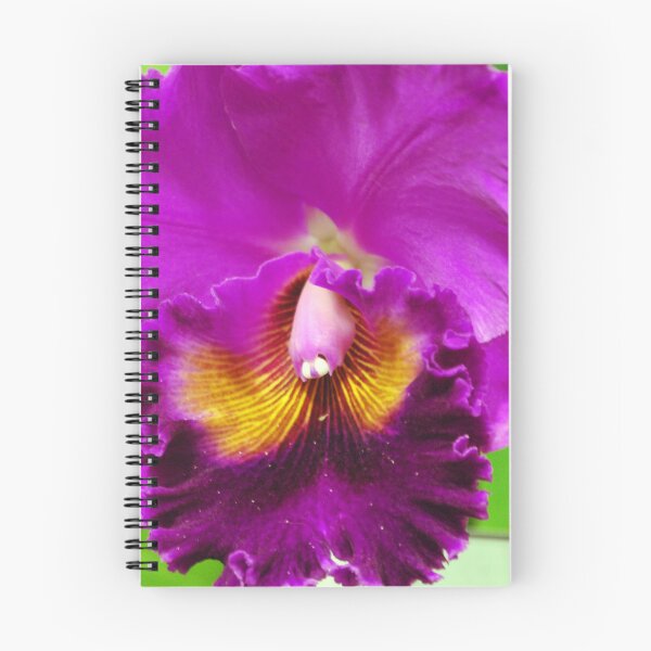 Item preview, The beauty designed and sold by treborbob.