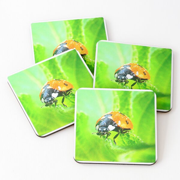 Item preview, Ladybird in pineapple sage designed and sold by angel1.