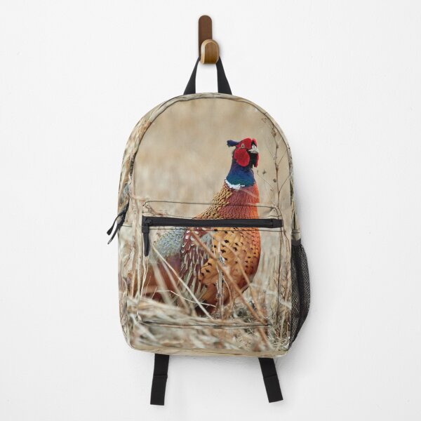 Item preview, When curiosity hits. Common pheasant designed and sold by Jouko Lehto Photography.