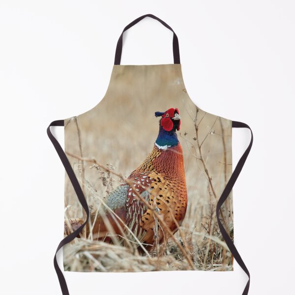 Item preview, When curiosity hits. Common pheasant designed and sold by Jouko Lehto Photography.