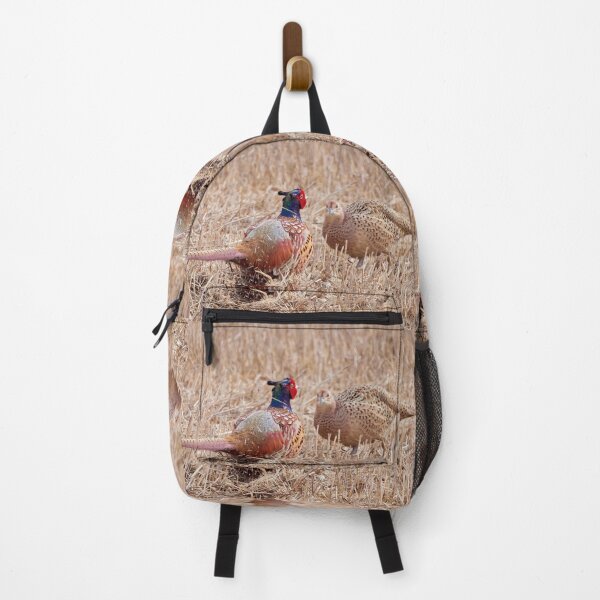 Item preview, Oh my darling Valentine. Common pheasant designed and sold by Jouko Lehto Photography.