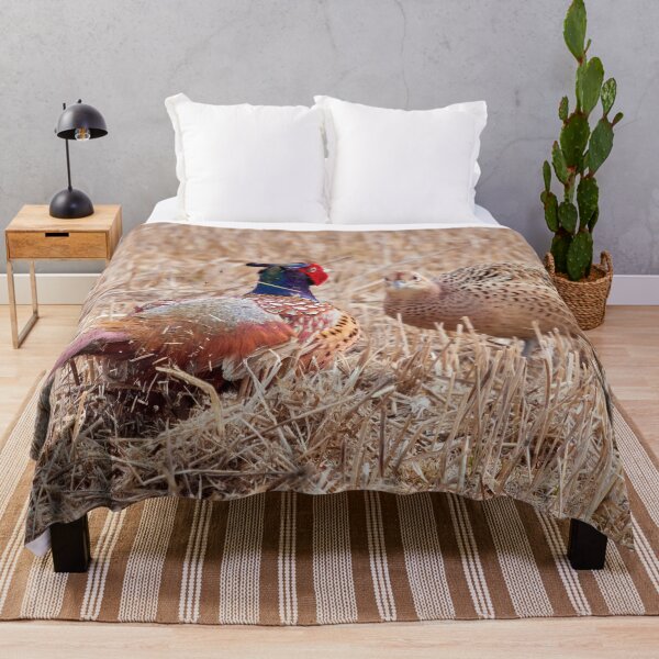 Item preview, Oh my darling Valentine. Common pheasant designed and sold by Jouko Lehto Photography.