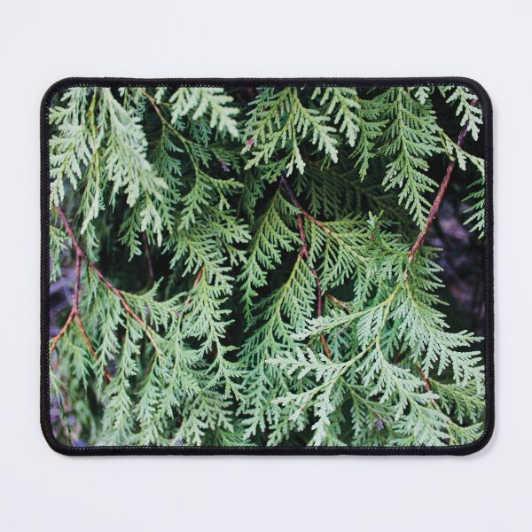 Item preview, White Cedar designed and sold by RoseyElisabeth.
