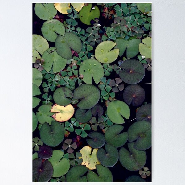 Item preview, Lily Pads designed and sold by La Chic.