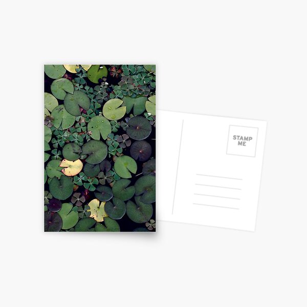 Item preview, Lily Pads designed and sold by La Chic.
