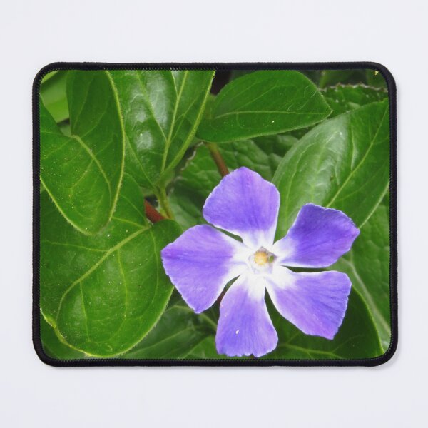Item preview, Periwinkle designed and sold by wiggyofipswich.
