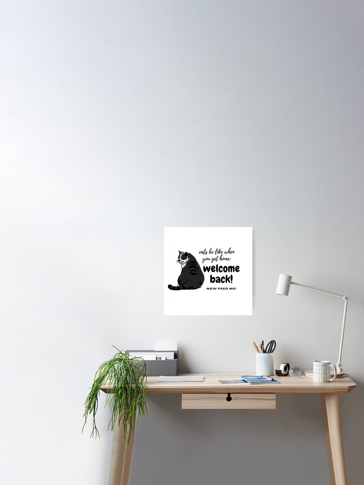 Welcome home (cat) | Poster