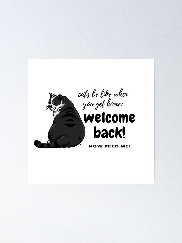 Welcome home (cat) | Poster