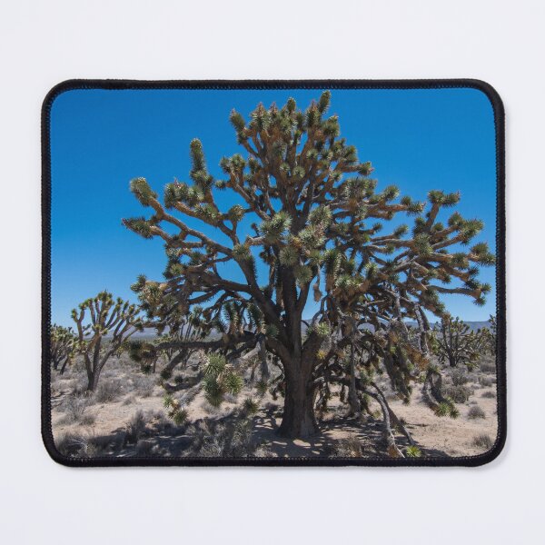 Item preview, Massive Joshua Tree designed and sold by thatche2.