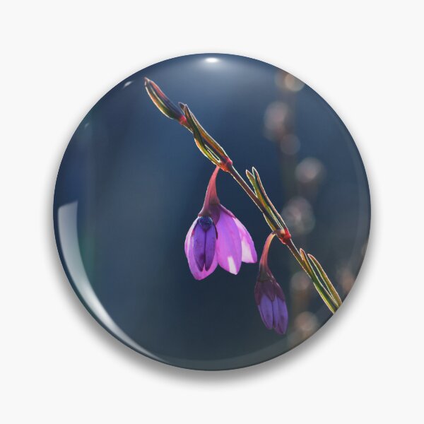 Item preview, Australian Flora - Scrambling Pink Bell designed and sold by Cloudlingpics.