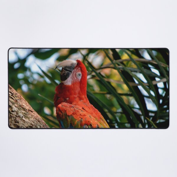 Item preview, Ara red-and-green macaw designed and sold by Schoensl.