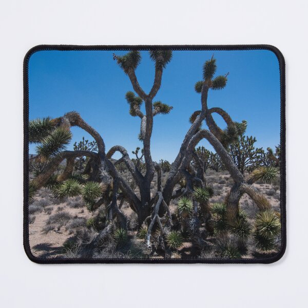 Item preview, Drooping Joshua Tree designed and sold by thatche2.